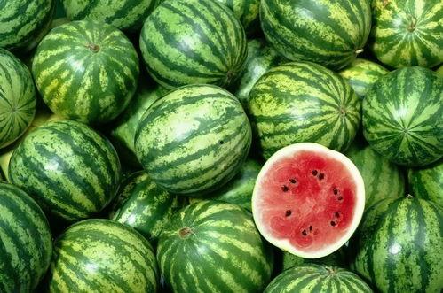 718s 娱乐吃瓜,揭秘娱乐圈最新吃瓜大事件 第3张 718s 娱乐吃瓜,揭秘娱乐圈最新吃瓜大事件 第3张